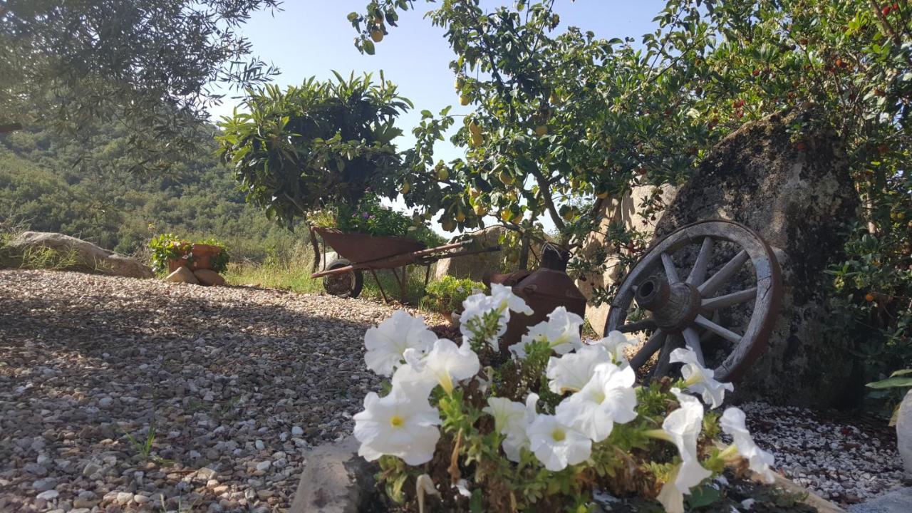 B&B Casa Vacanza Centro Sardegna Sorgono Εξωτερικό φωτογραφία