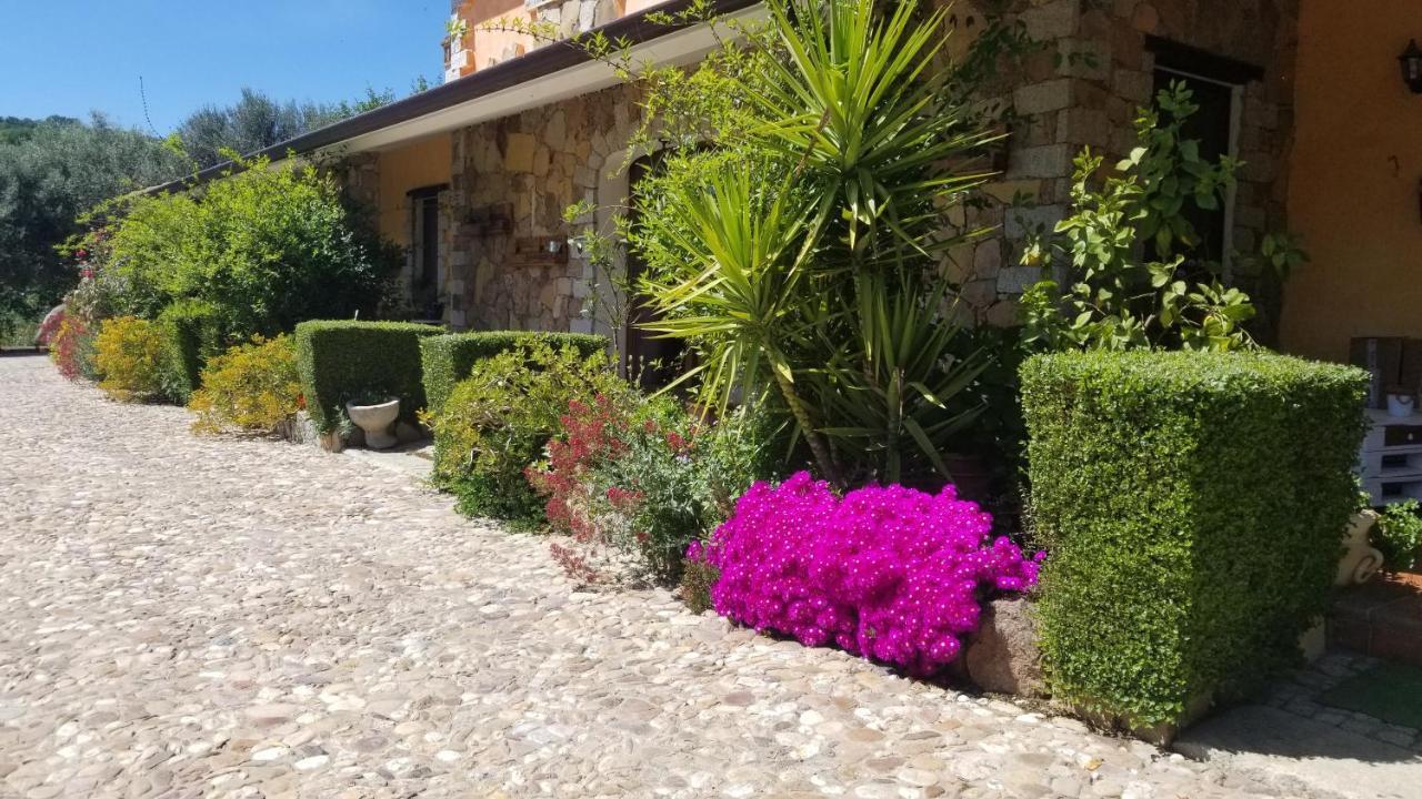 B&B Casa Vacanza Centro Sardegna Sorgono Εξωτερικό φωτογραφία