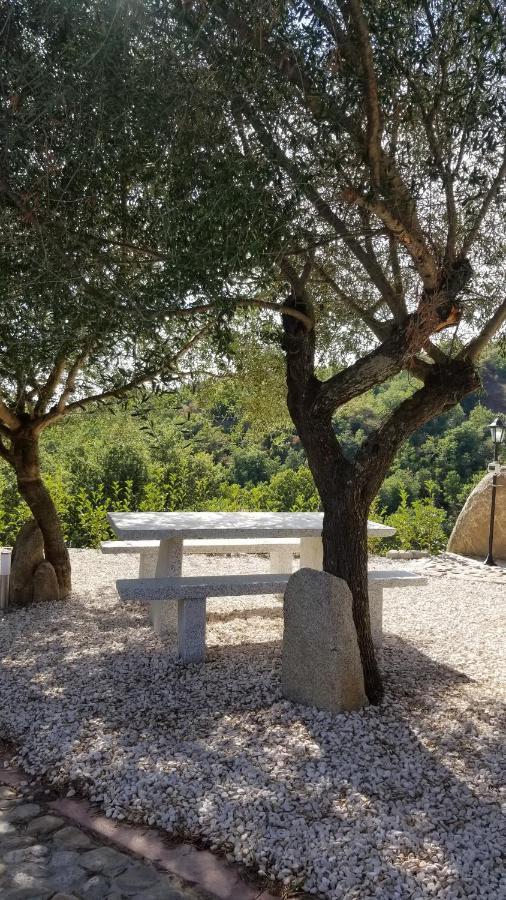 B&B Casa Vacanza Centro Sardegna Sorgono Εξωτερικό φωτογραφία