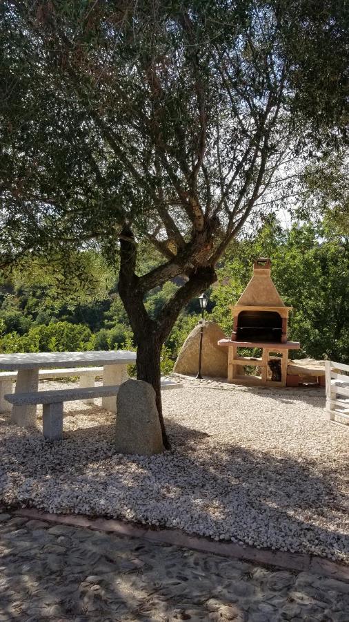 B&B Casa Vacanza Centro Sardegna Sorgono Εξωτερικό φωτογραφία