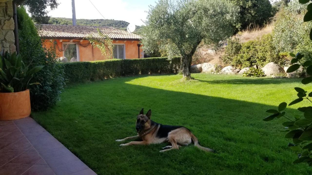 B&B Casa Vacanza Centro Sardegna Sorgono Εξωτερικό φωτογραφία